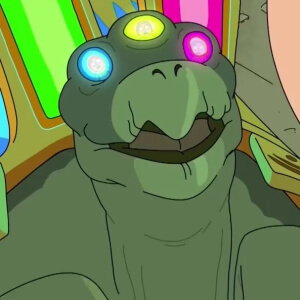Truth Tortoise image
