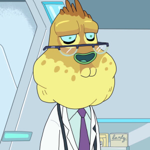 Yellow Headed Doctor image