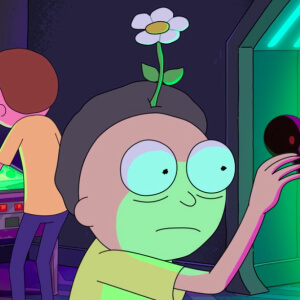 Flower Morty image