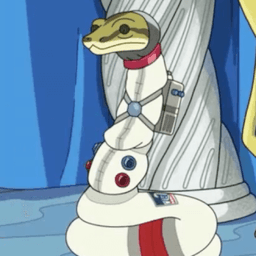 Slippy image